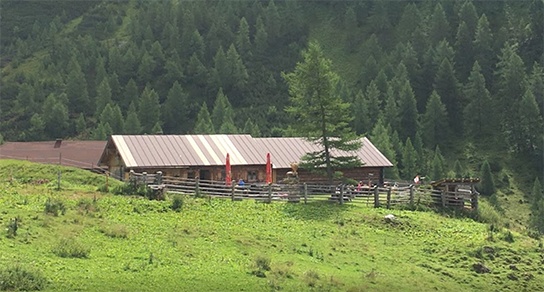 Scharfettalm