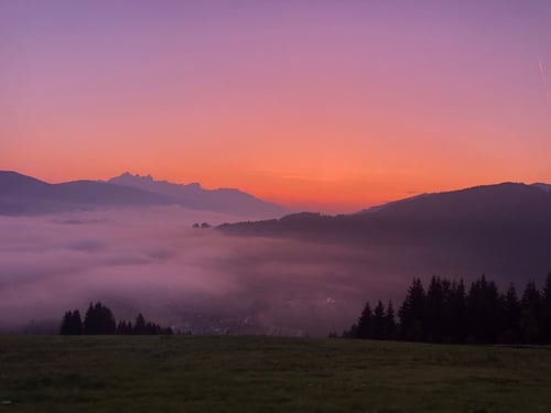 IMG_7295