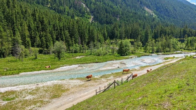 Wandern Fitness Alm Österreich