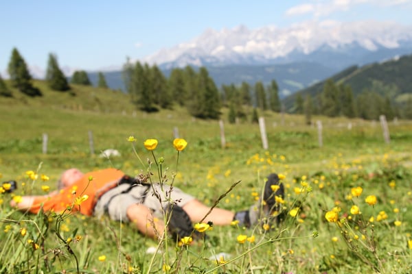 Urlaub in Flachau