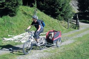 Mountainbiken mit Hund