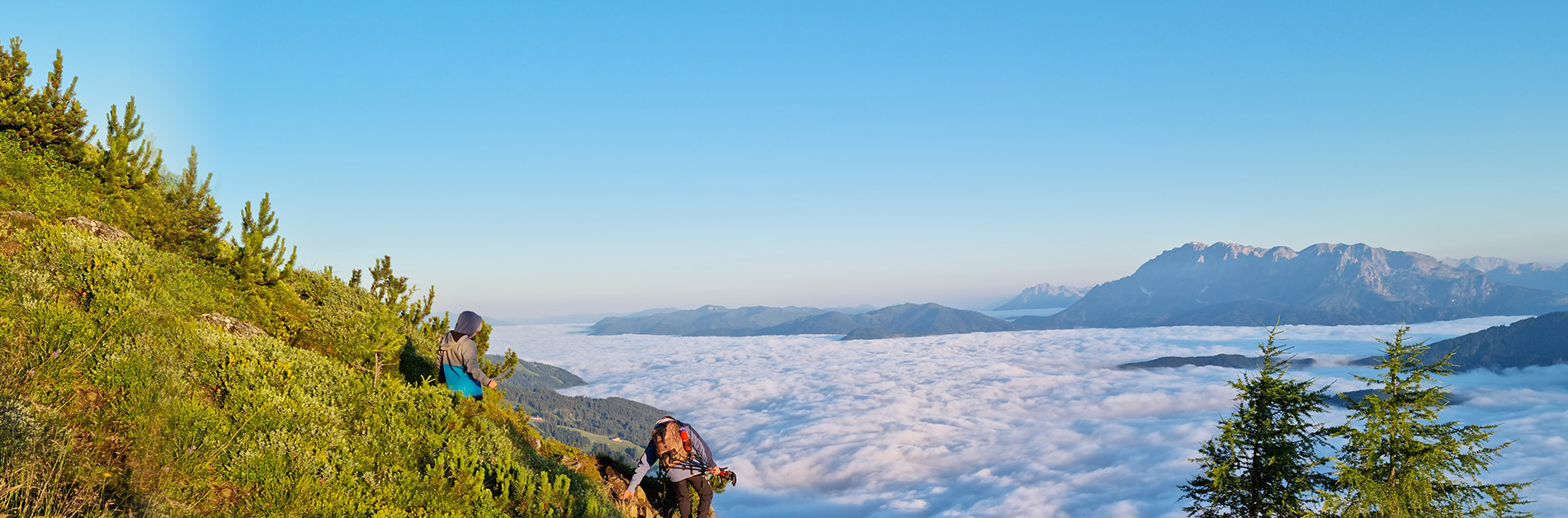 Wandern Aussichtsberge Flachau Tauernhof