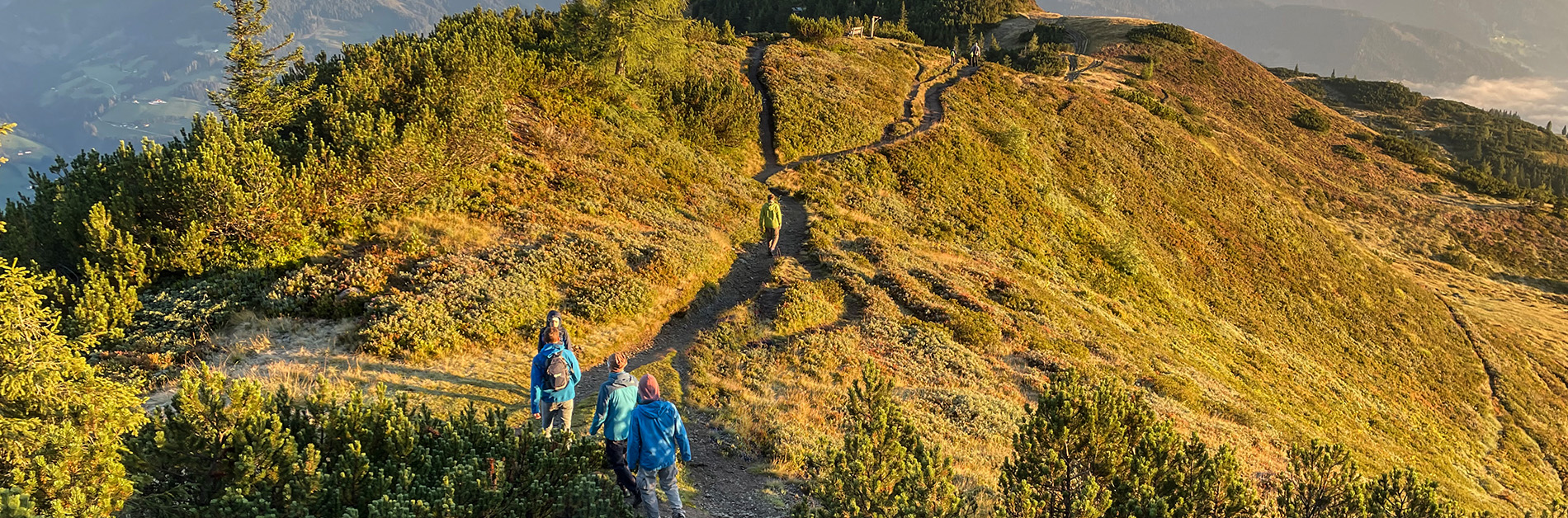 Naturplaetze Wandern Flachau Tauernhof