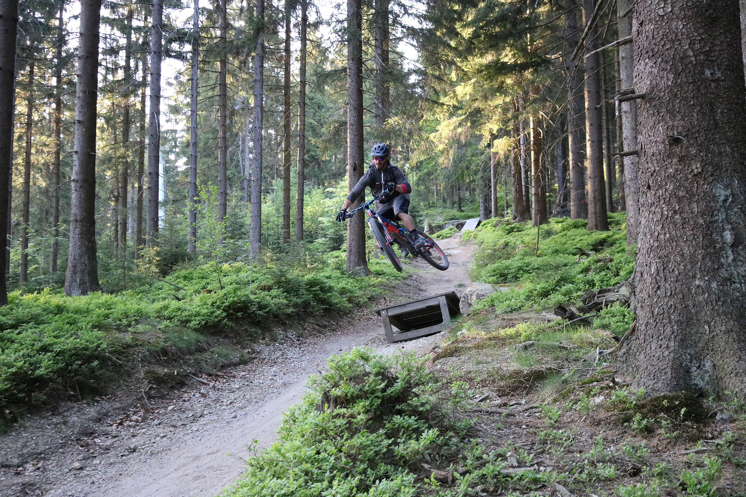 Sportcamp sporthotel tauernhof flachau bikeguide christian