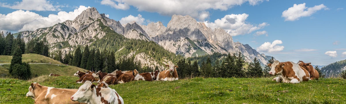 Nachhaltiger Tourismus gemeinsam neue Wege gehen Reisen Salzburger Bergwelt