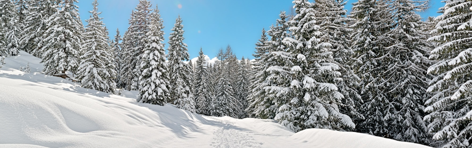 Schneefakten Winterlandschaft Schnee Österreich