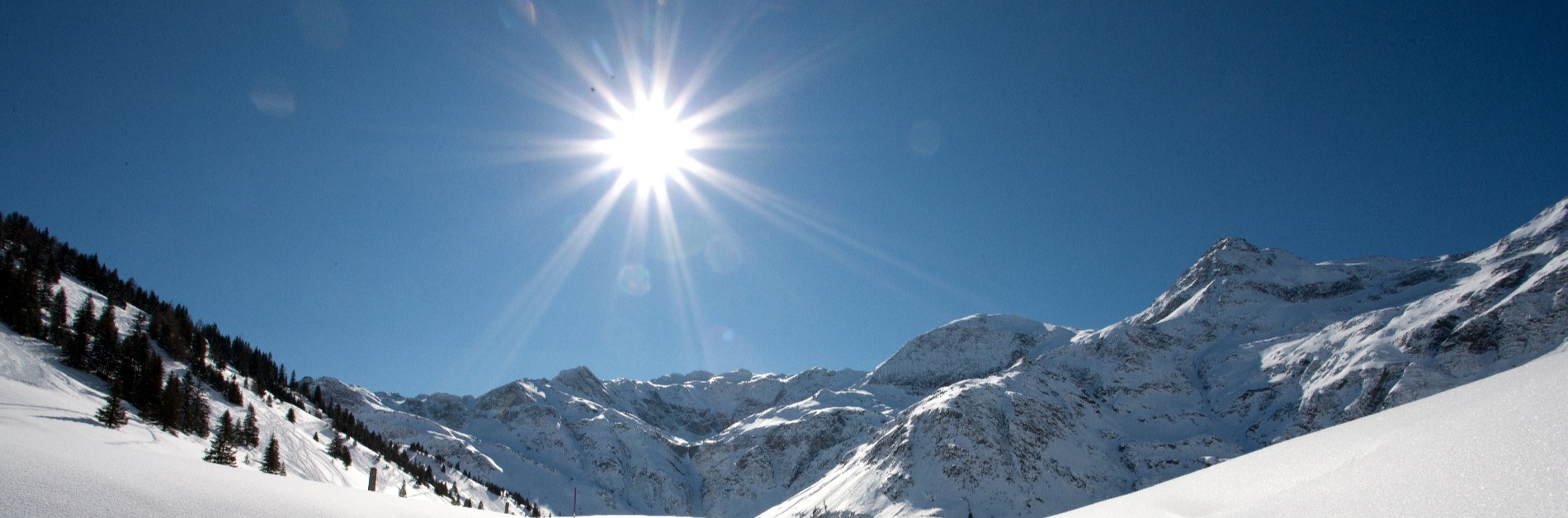 Winter Lawinenschutz Berge Schnee