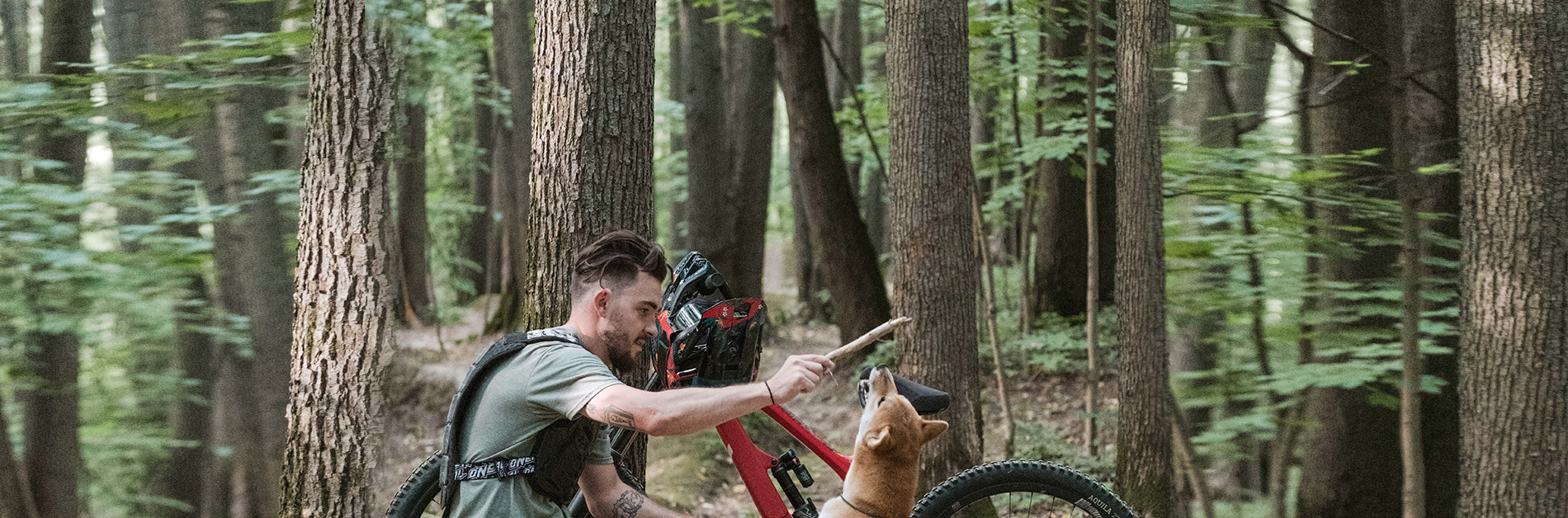 Mountainbike und Hund 